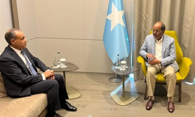Egypt condemns Israeli diplomatic envoy to "Somaliland" during meeting with Somali President